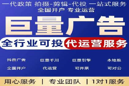 短视频信息流营销实战：小红书的成长之路